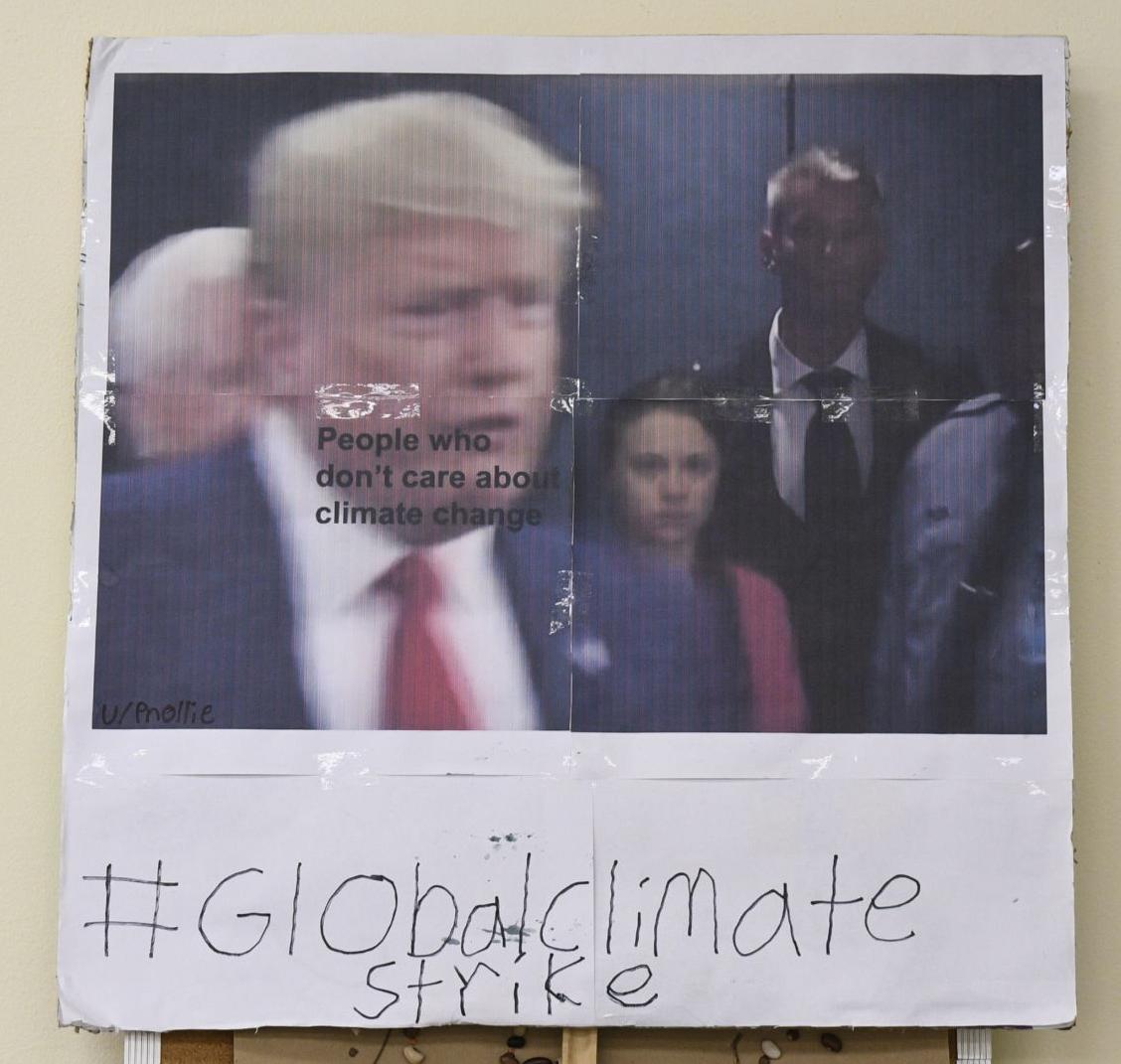 6/23/2020, Global climate strike
